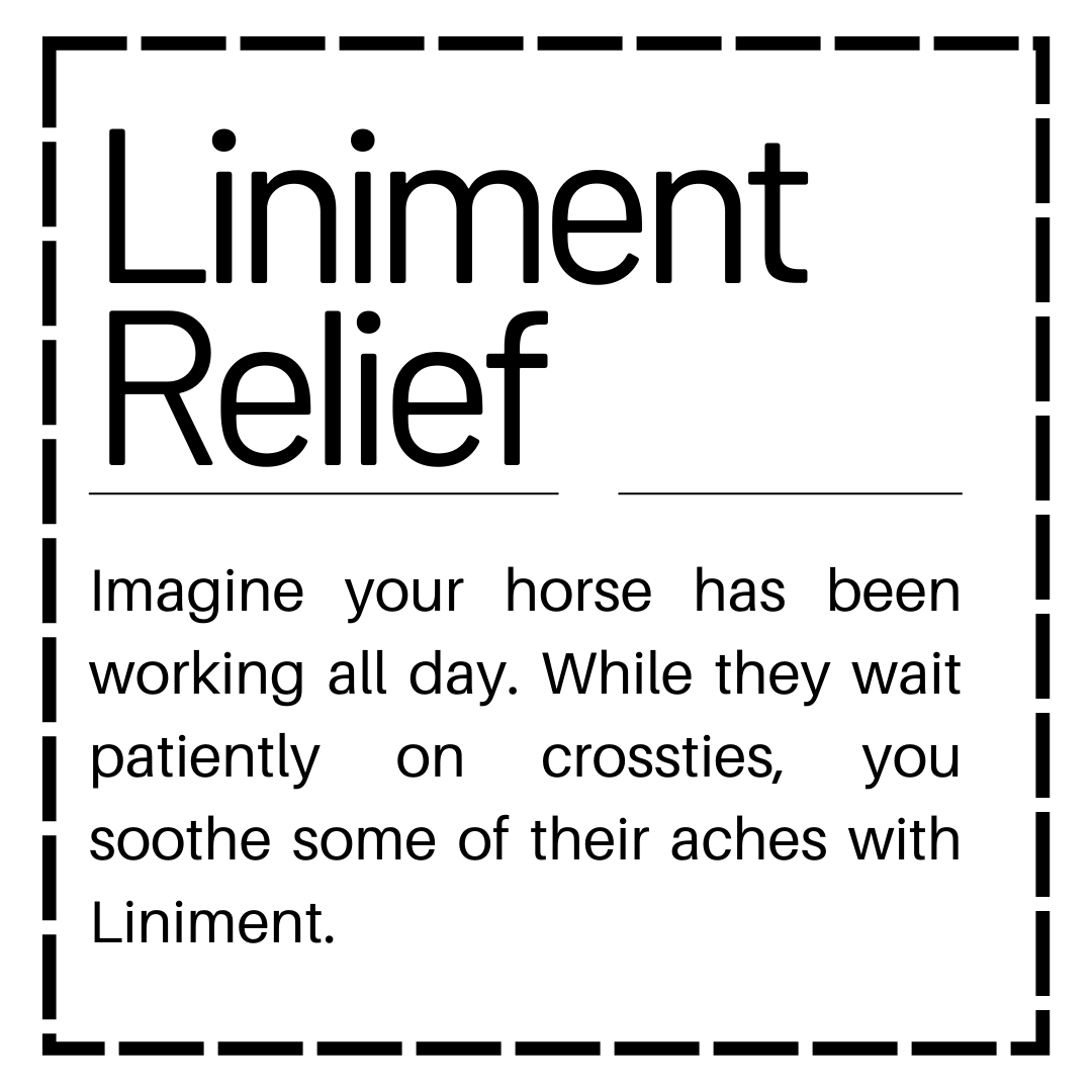 Liniment Relief - 100% Soy