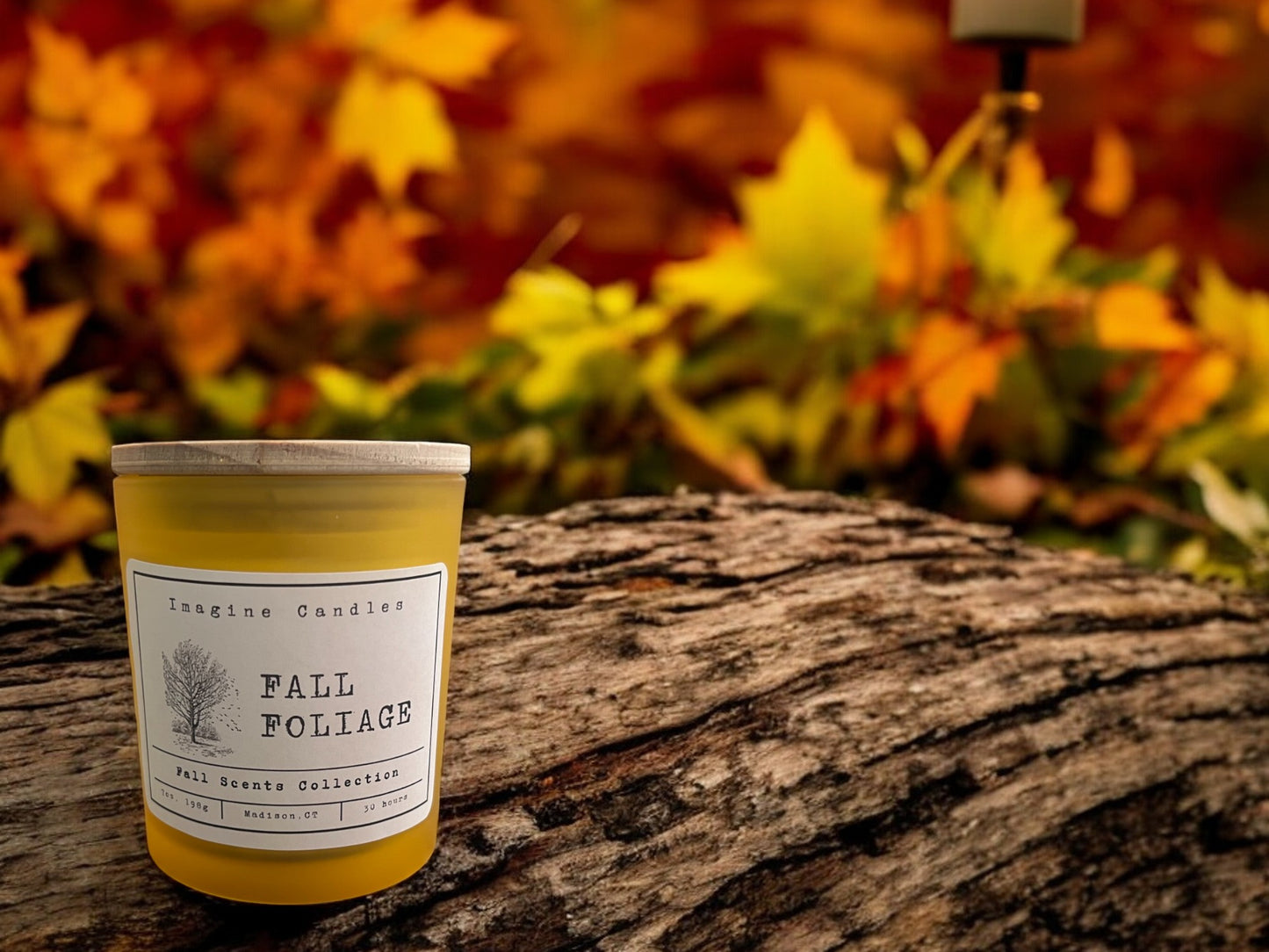 A Fall Foliage candle resting on a log surrounded by vibrant autumn leaves. The scene captures the essence of a crisp forest walk, inviting you to enjoy the rich, earthy scents of fall