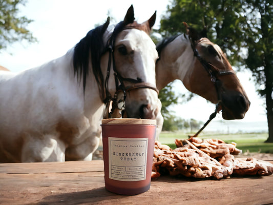 A candle sits on a table next to horse treats, evoking the scent of Gingersnap Treats. The label reads 'Gingersnap Treat', capturing the essence of ginger, brown sugar, molasses, vanilla, butter, cinnamon, clove, and milk. Infused with natural essential oils, including clove leaf, rosemary, nutmeg, sweet orange, eucalyptus, elemi, and pine